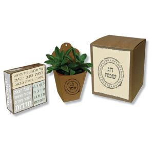 מארז עם עציץ ומיני בונבוניירה לראש השנה