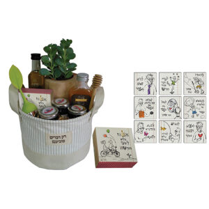 סלסלה עם עציץ ומגנטים