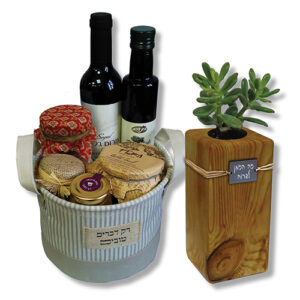 סלסלה וסטנד עם עציץ