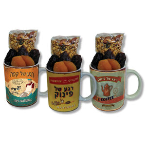 ספל רטרו עם פירות יבשים וגרנולה