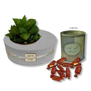 סטנד עם עציץ ופחית סוכריות