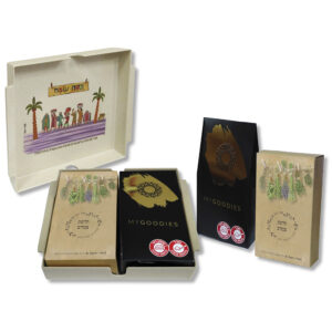 מגש למצה עם שוקולד וחליטה