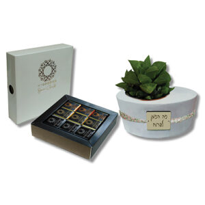 שי לחג עציץ ונפוליטנים