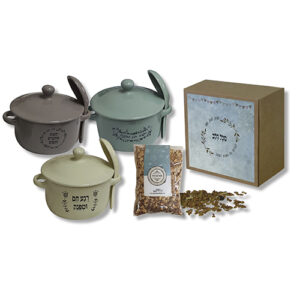 קערה עם מכסה כפית וגרנולה