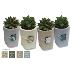 עציץ ליום המשפחה עם סקולנט