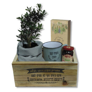 מתנה לפסח - מארז אורון