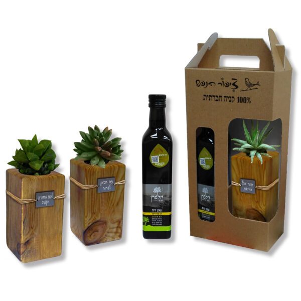 מארז אלון