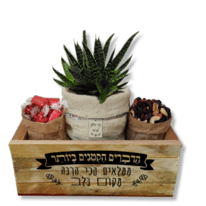 מארז אקולוגי מתוק – מתנות לראש השנה