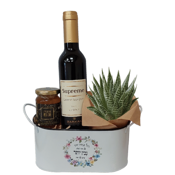 מתנה לעובד – מארז יין, דבש וסוקולנט
