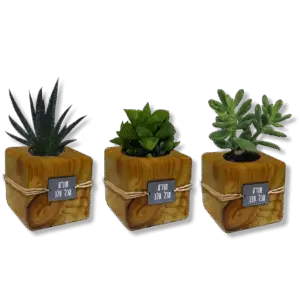 מתנת תודה בטבעיות מעוצבת