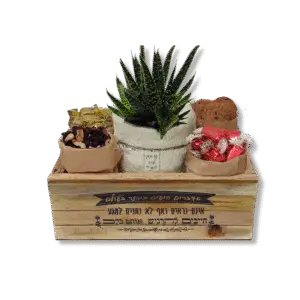 ארגז עץ עם צמח ומתוקים