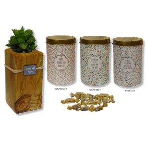 מתנה עציץ עץ עם פרלינים