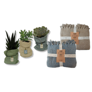 שמיכה עם עציץ סקולנט – מתנה ליום המשפחה